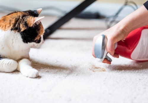 How to Get Rid of Pet Dander Efficiently With the Right HVAC Replacement Solutions